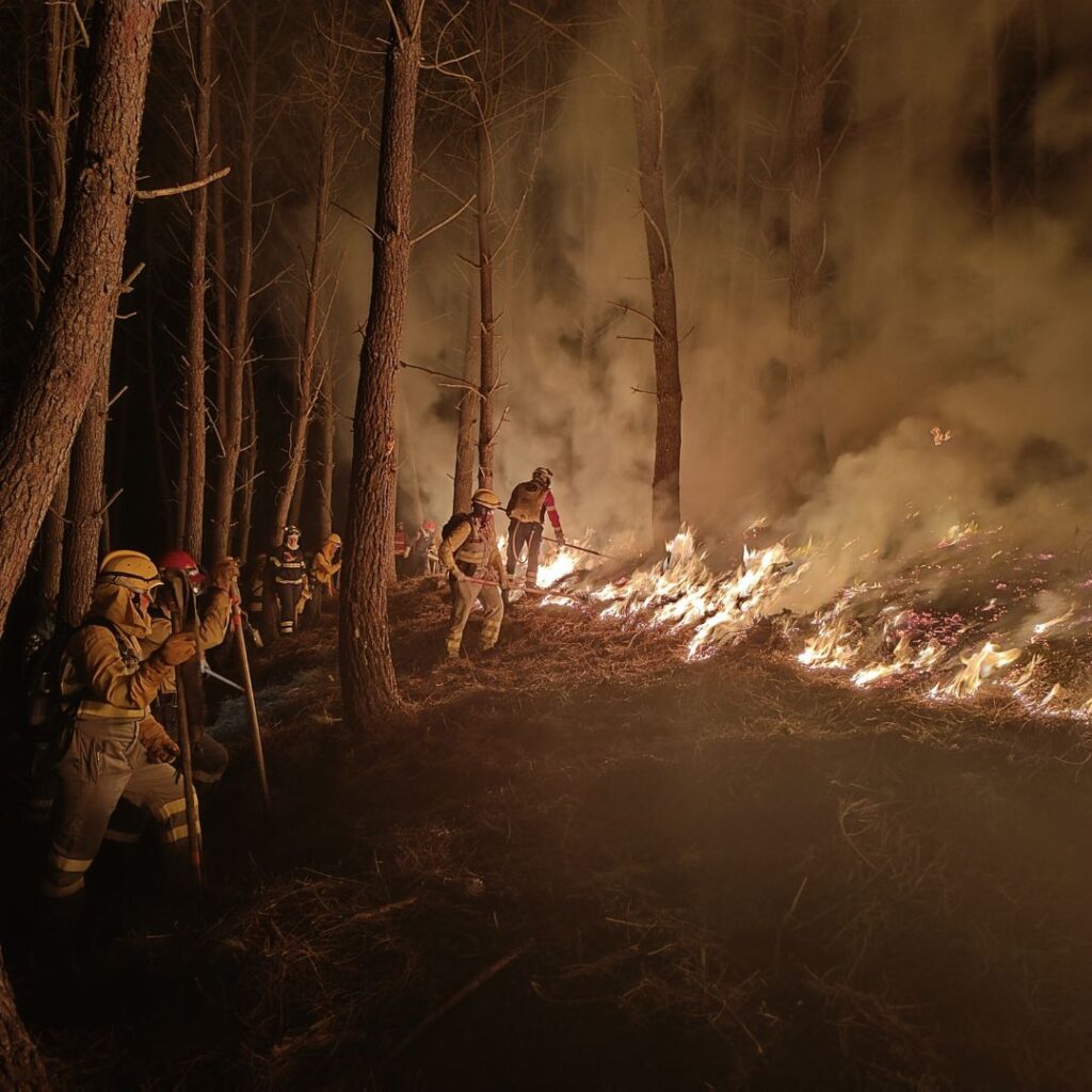 Vigilância e primeira intervenção em incêndios rurais