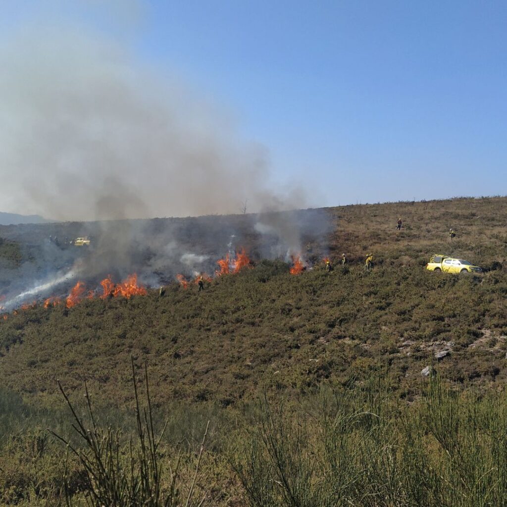 Prevenção de incêndios rurais